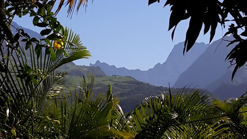 La Villa des Palmes Bois d'Olive Esterno foto